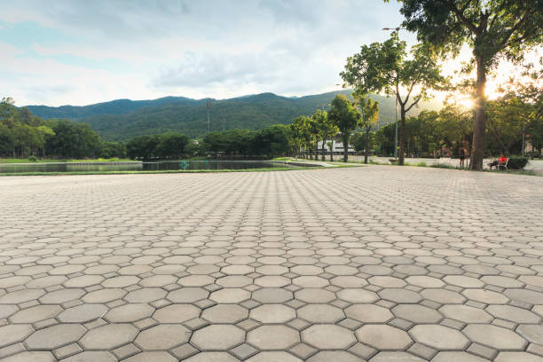 Best Brick Driveway Pavers  in Orangeburg, SC